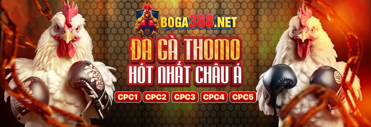 Sân chơi cá cược thể thao B52 trực tuyến sôi động